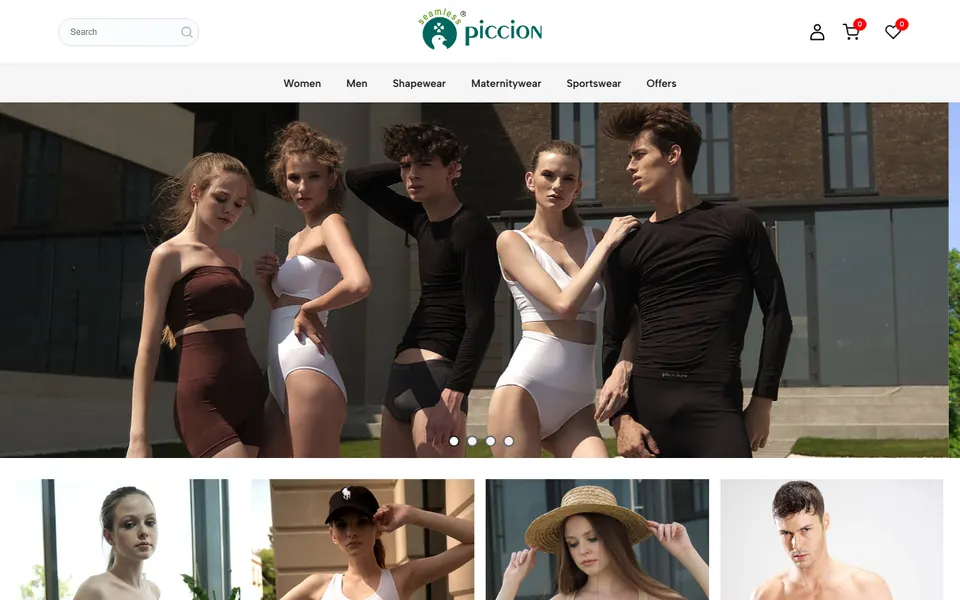 Screenshot of the Piccion website